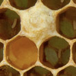 BIENEN SHOP